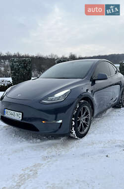 Внедорожник / Кроссовер Tesla Model Y 2023 в Днепре