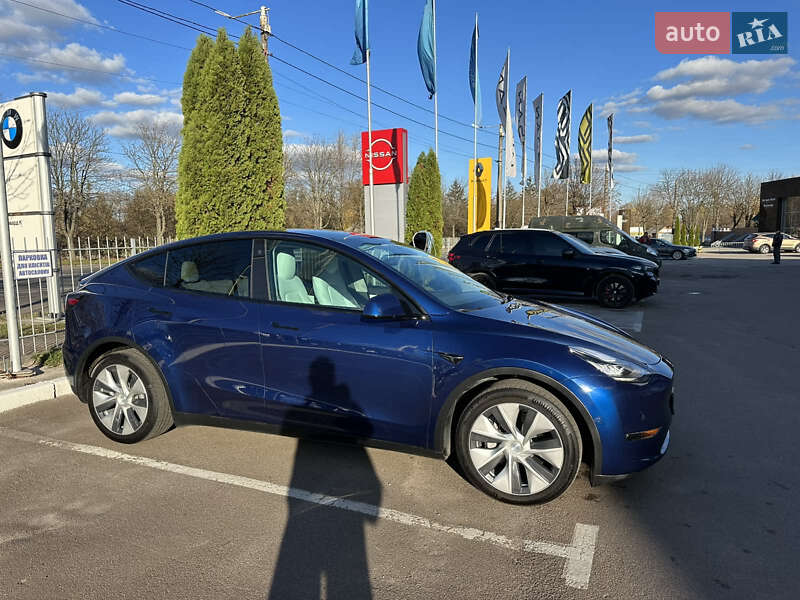 Внедорожник / Кроссовер Tesla Model Y 2021 в Житомире