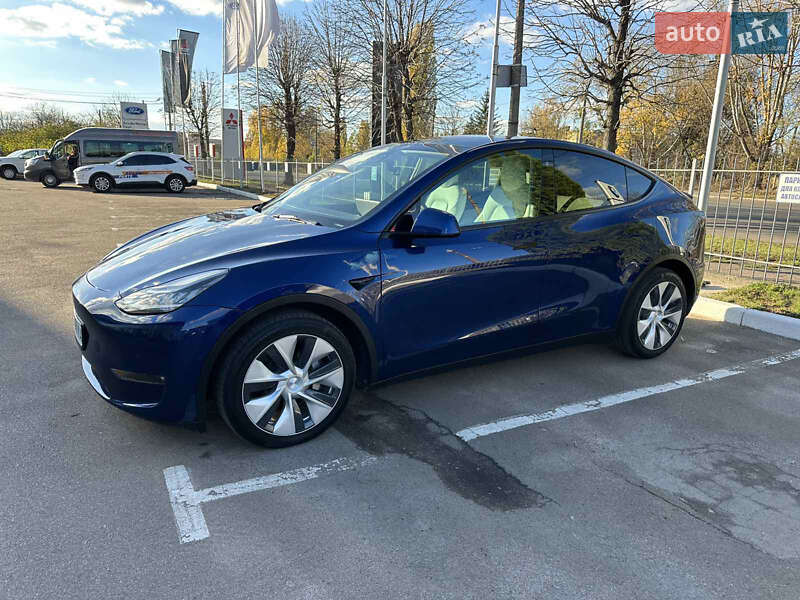 Внедорожник / Кроссовер Tesla Model Y 2021 в Житомире