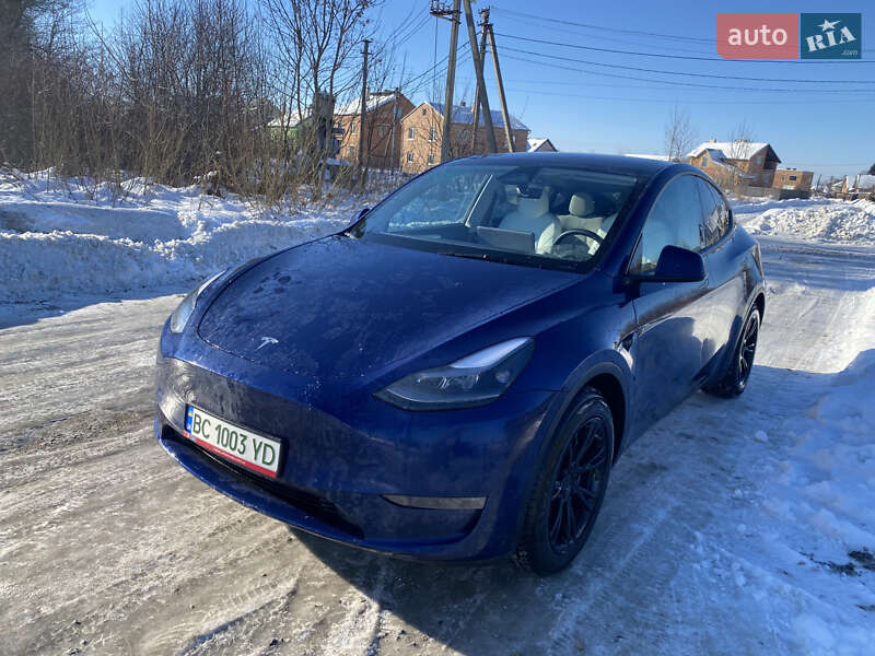 Позашляховик / Кросовер Tesla Model Y 2024 в Львові фото 3 Позашляховик / Кросовер Tesla Model Y 2024 в Львові
