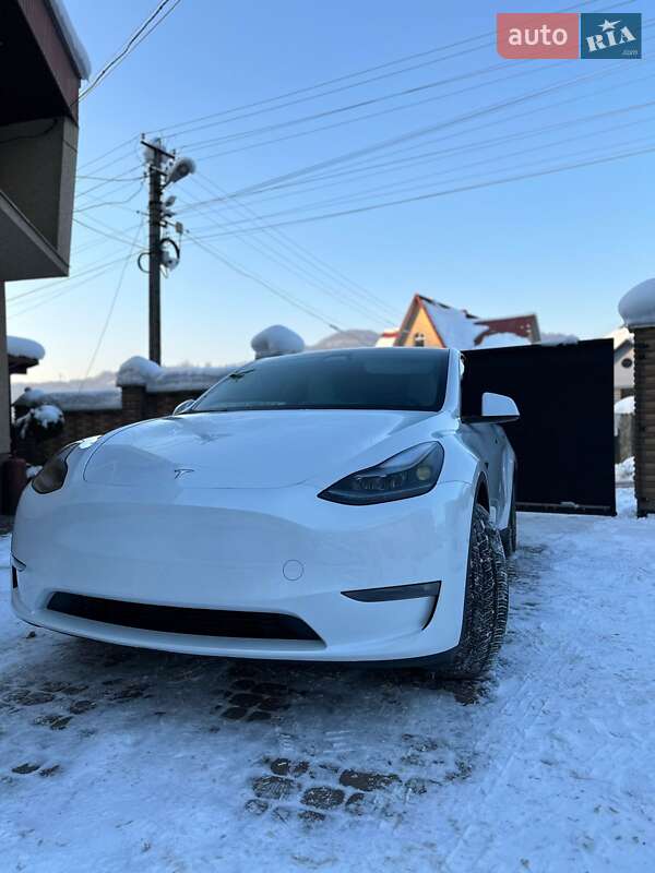 Позашляховик / Кросовер Tesla Model Y 2024 в Тячеві