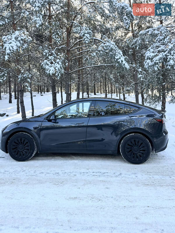 Внедорожник / Кроссовер Tesla Model Y 2024 в Броварах