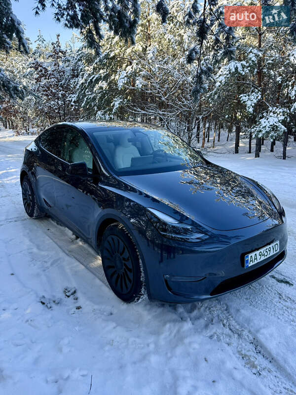 Внедорожник / Кроссовер Tesla Model Y 2024 в Броварах