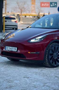Внедорожник / Кроссовер Tesla Model Y 2024 в Черновцах