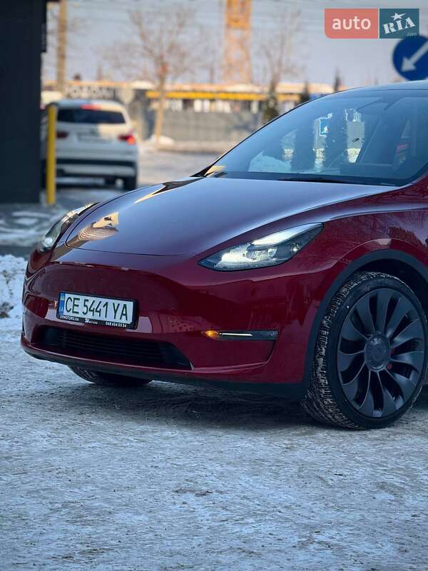 Внедорожник / Кроссовер Tesla Model Y 2024 в Черновцах
