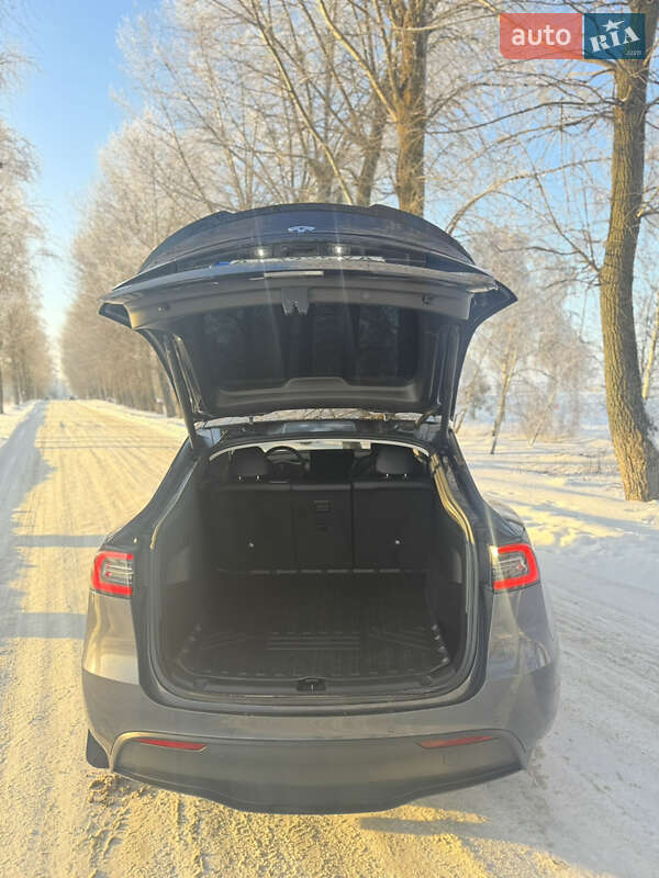Позашляховик / Кросовер Tesla Model Y 2021 в Бучі фото 13 Позашляховик / Кросовер Tesla Model Y 2021 в Бучі