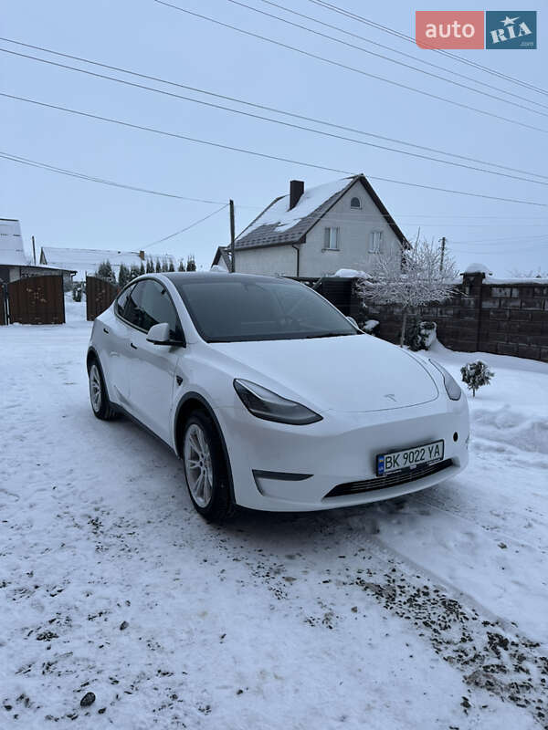 Внедорожник / Кроссовер Tesla Model Y 2021 в Владимирце