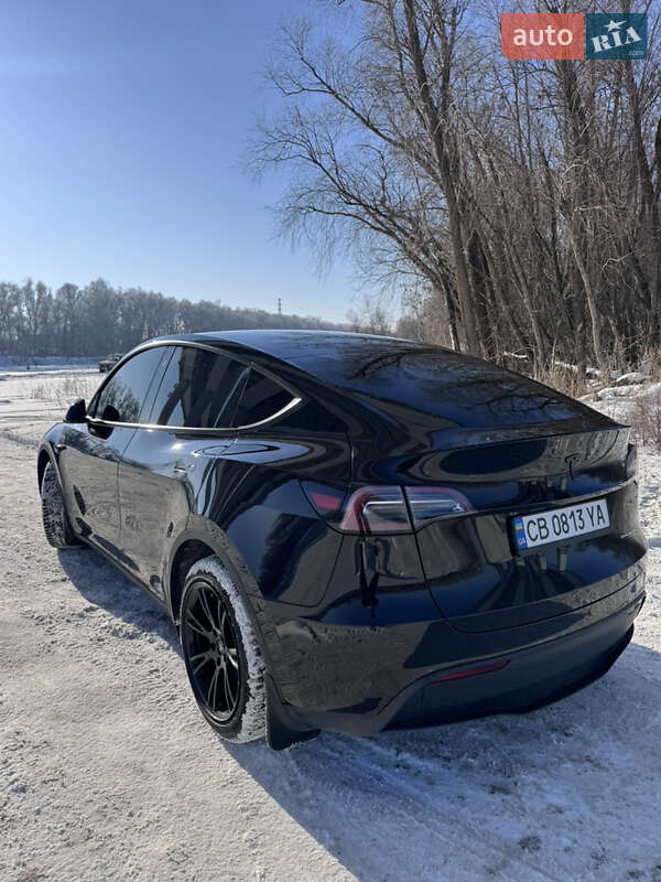 Внедорожник / Кроссовер Tesla Model Y 2023 в Львове