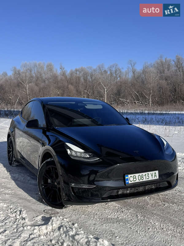 Внедорожник / Кроссовер Tesla Model Y 2023 в Львове