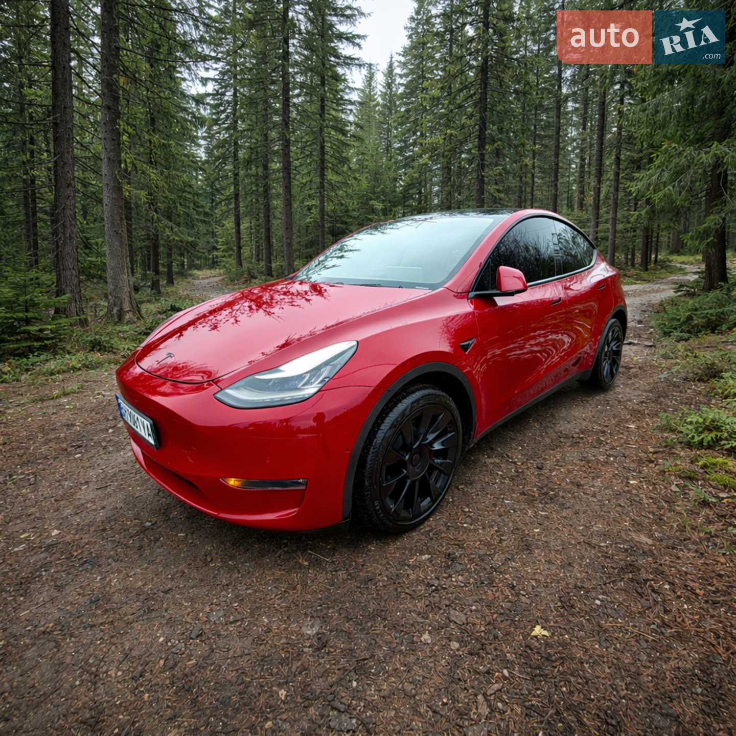 2020 Tesla Model Y - мініатюра 2