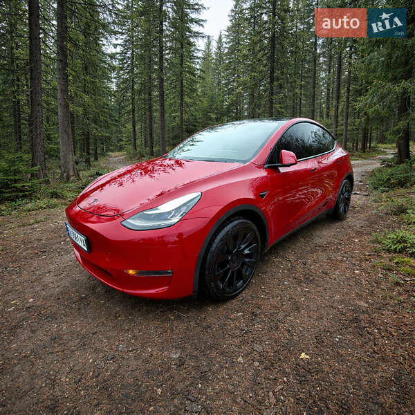 Внедорожник / Кроссовер Tesla Model Y 2020 в Одессе