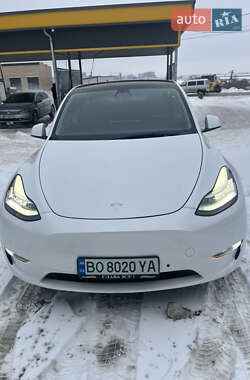 Позашляховик / Кросовер Tesla Model Y 2021 в Тернополі