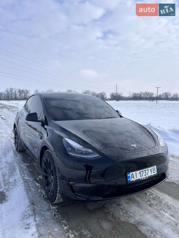 Позашляховик / Кросовер Tesla Model Y 2023 в Києві
