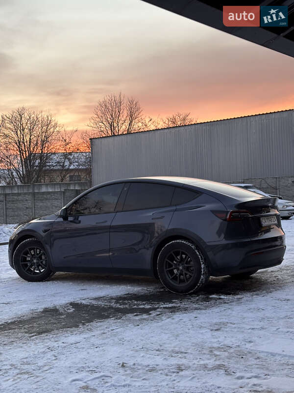 Позашляховик / Кросовер Tesla Model Y 2022 в Черкасах фото 8 Позашляховик / Кросовер Tesla Model Y 2022 в Черкасах