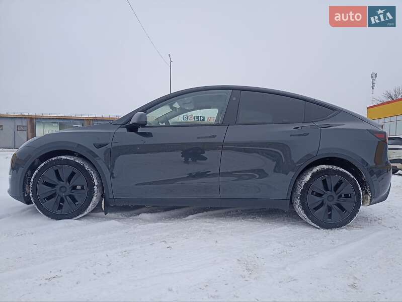 Позашляховик / Кросовер Tesla Model Y 2024 в Житомирі