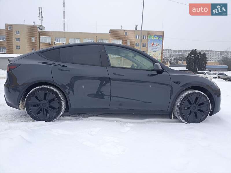 Позашляховик / Кросовер Tesla Model Y 2024 в Житомирі