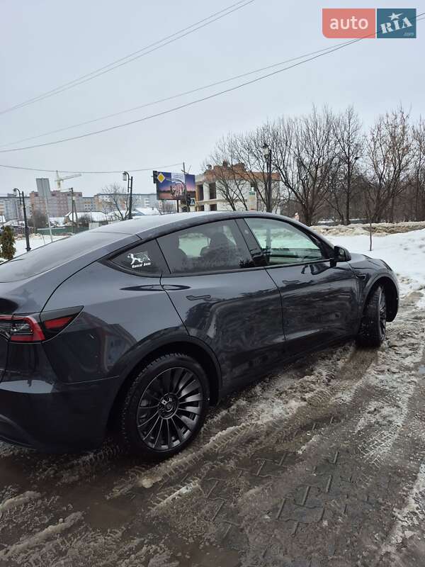 Внедорожник / Кроссовер Tesla Model Y 2024 в Хмельницком