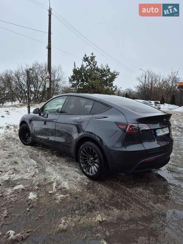 Внедорожник / Кроссовер Tesla Model Y 2024 в Хмельницком