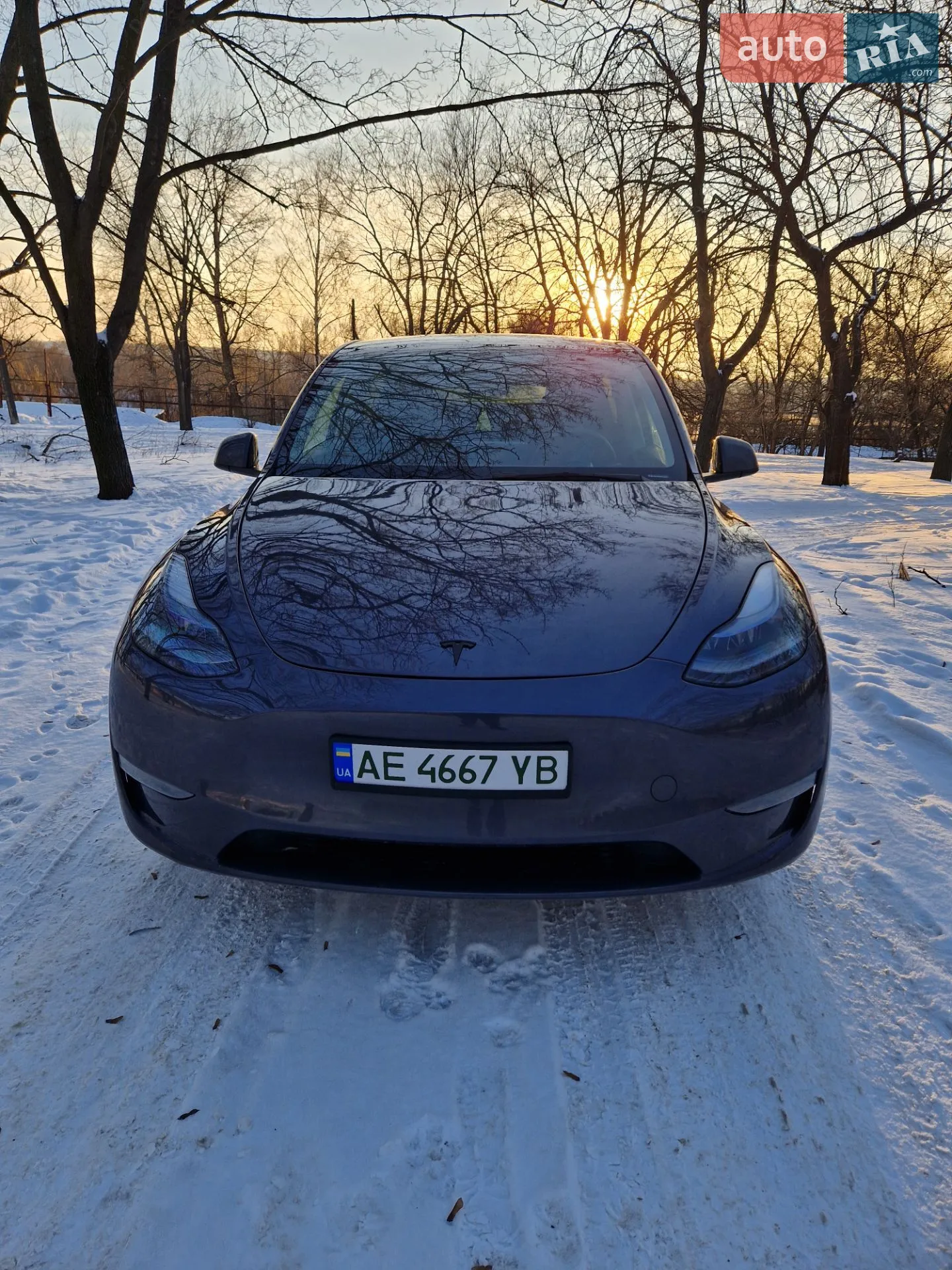 2023 Tesla Model Y - мініатюра 2