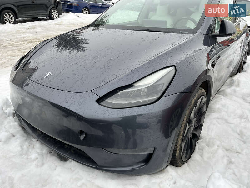 Внедорожник / Кроссовер Tesla Model Y 2022 в Львове
