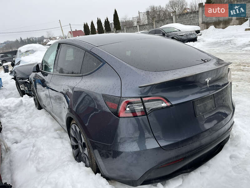 Внедорожник / Кроссовер Tesla Model Y 2022 в Львове