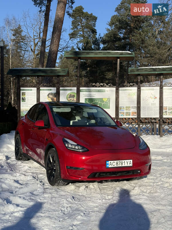 Позашляховик / Кросовер Tesla Model Y 2021 в Луцьку