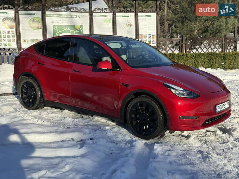 Позашляховик / Кросовер Tesla Model Y 2021 в Луцьку