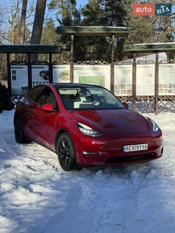 Позашляховик / Кросовер Tesla Model Y 2021 в Луцьку