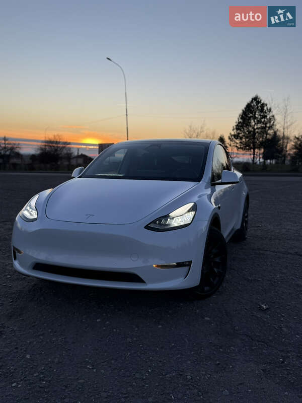 Позашляховик / Кросовер Tesla Model Y 2021 в Ужгороді