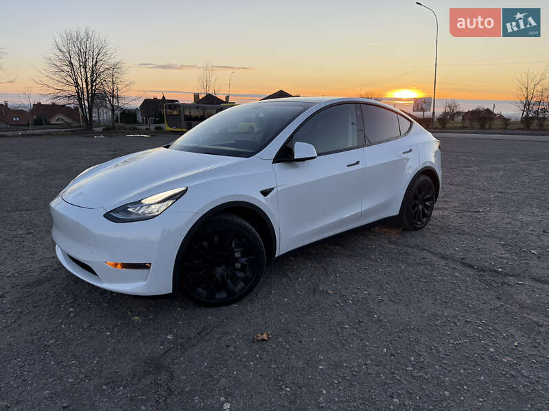 Позашляховик / Кросовер Tesla Model Y 2021 в Ужгороді