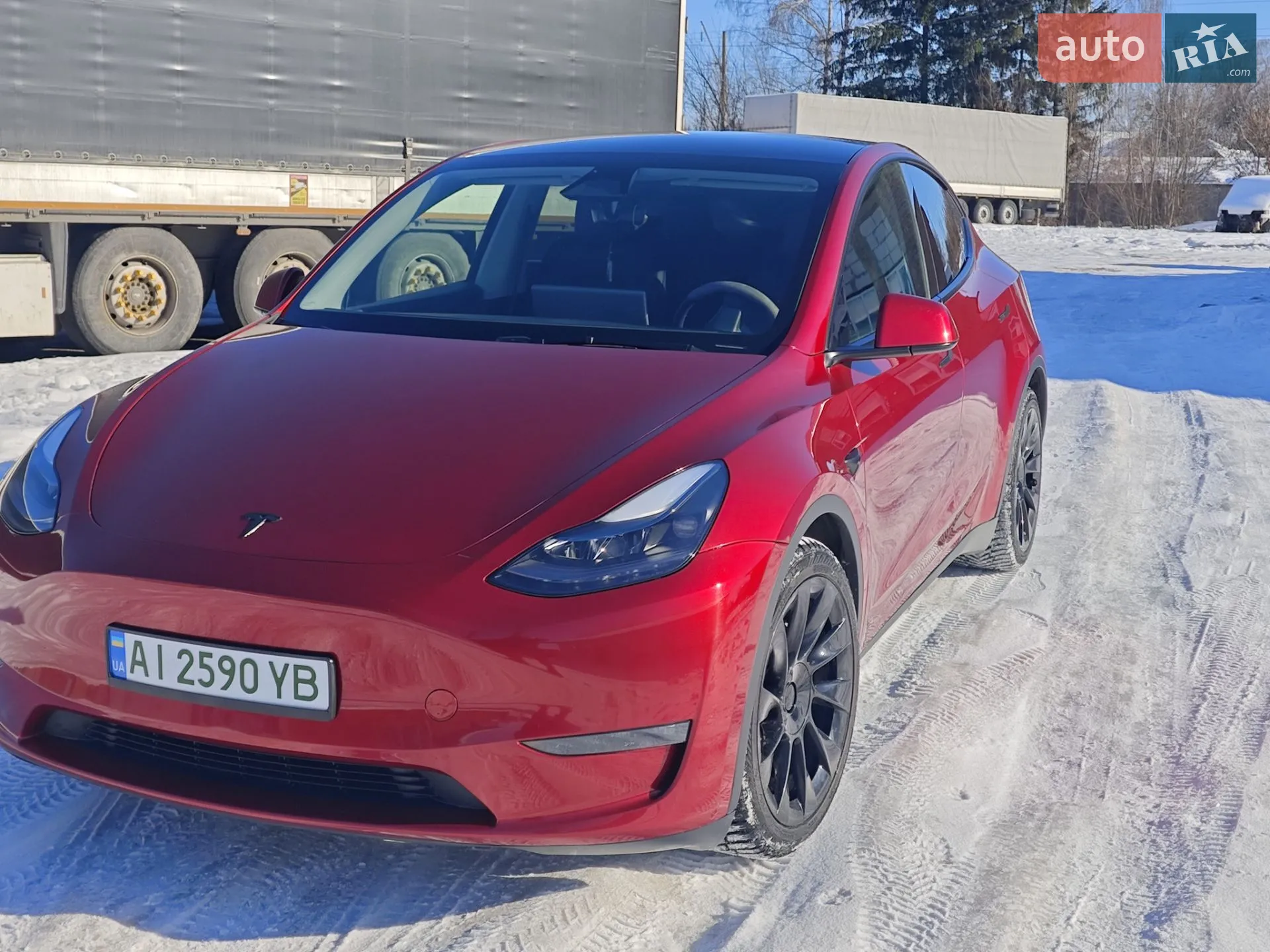 2024 Tesla Model Y - мініатюра 11