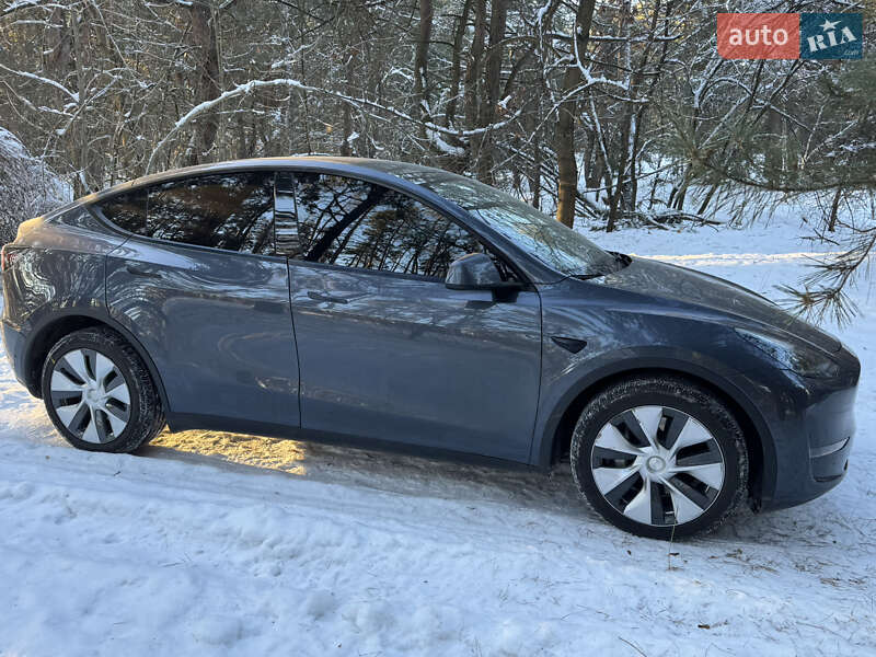 Внедорожник / Кроссовер Tesla Model Y 2023 в Василькове