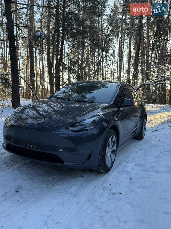 Внедорожник / Кроссовер Tesla Model Y 2023 в Василькове
