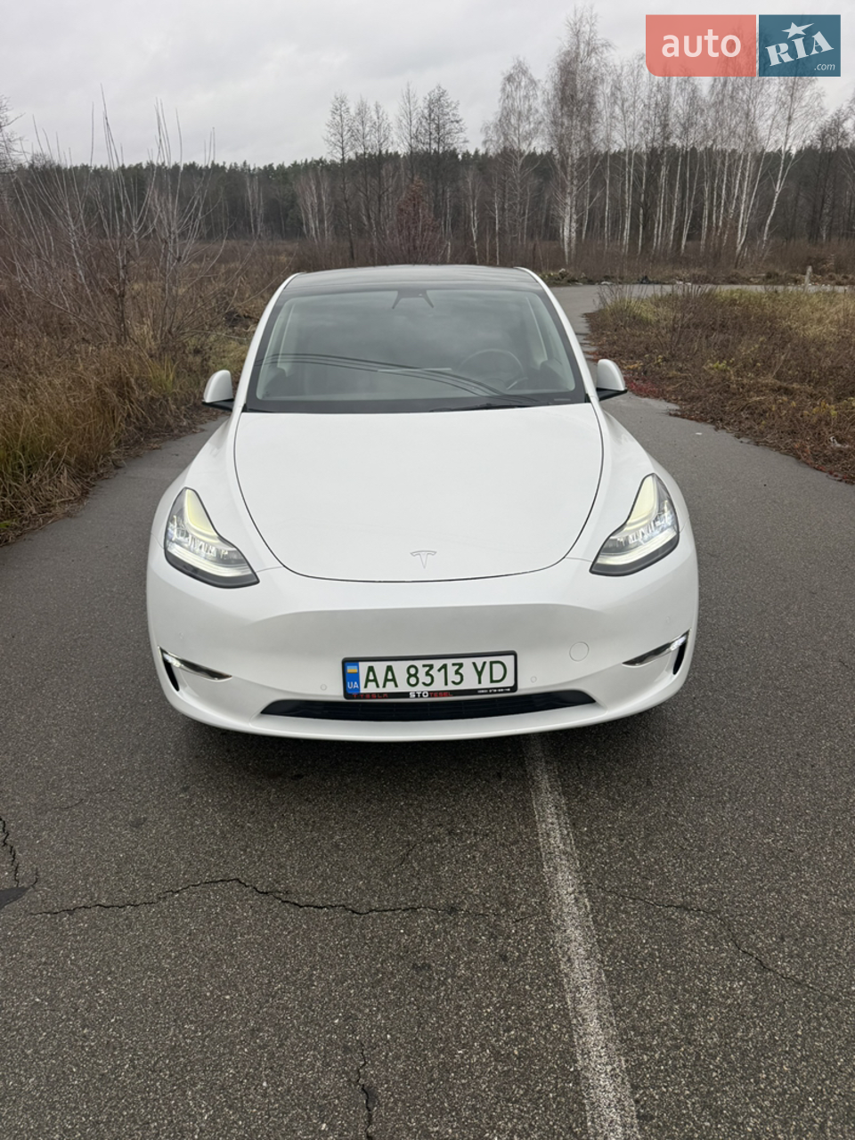 2022 Tesla Model Y - мініатюра 42