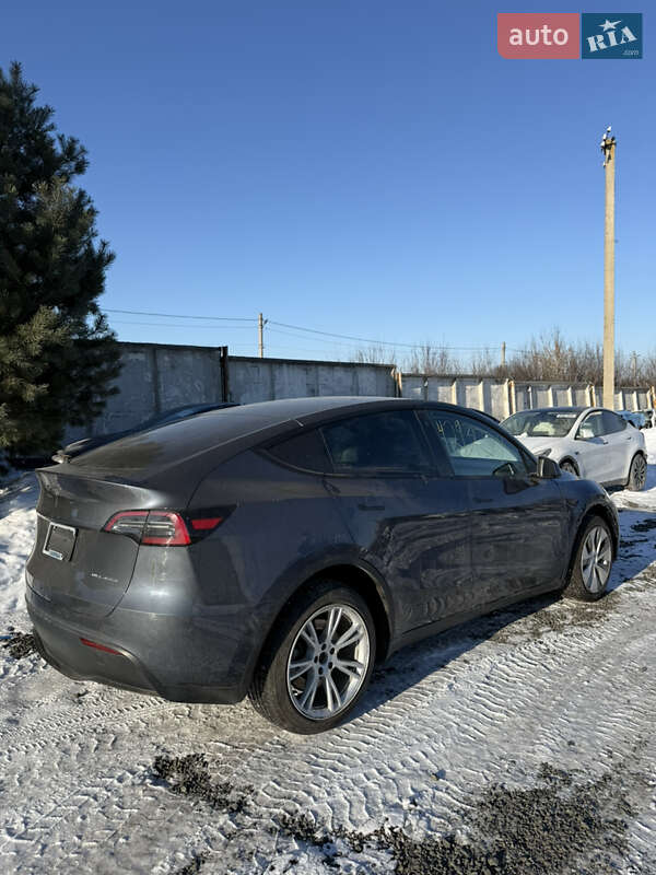 Внедорожник / Кроссовер Tesla Model Y 2023 в Луцке