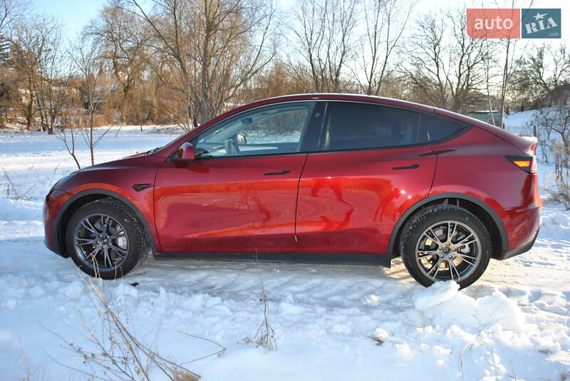 Позашляховик / Кросовер Tesla Model Y 2024 в Луцьку