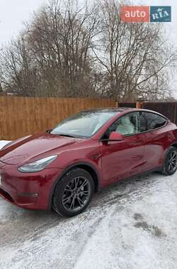 Внедорожник / Кроссовер Tesla Model Y 2024 в Луцке