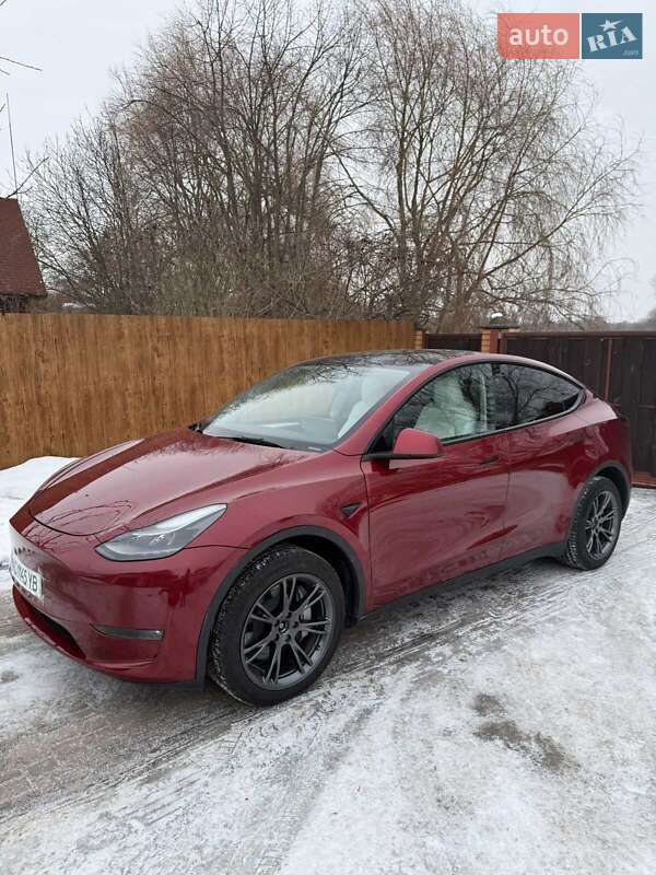 Позашляховик / Кросовер Tesla Model Y 2024 в Луцьку