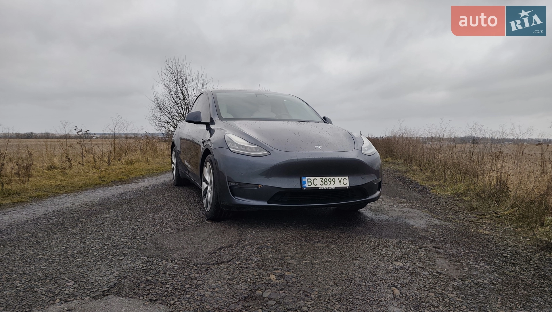 2020 Tesla Model Y - мініатюра 3