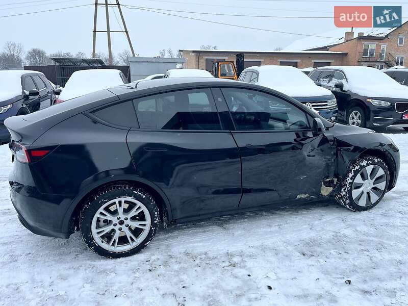 Позашляховик / Кросовер Tesla Model Y 2023 в Луцьку