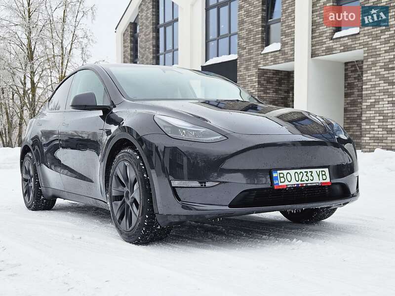 Внедорожник / Кроссовер Tesla Model Y 2024 в Тернополе