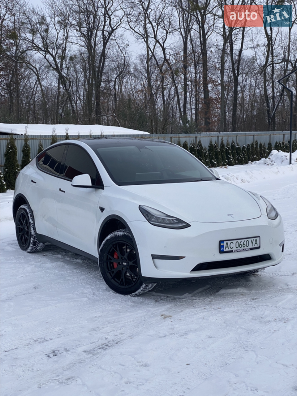 2021 Tesla Model Y - мініатюра 21