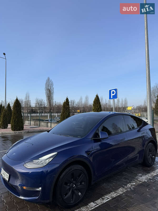 Позашляховик / Кросовер Tesla Model Y 2020 в Кременчуці фото 11 Позашляховик / Кросовер Tesla Model Y 2020 в Кременчуці