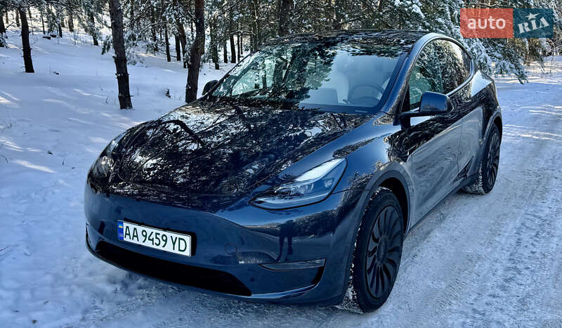 Внедорожник / Кроссовер Tesla Model Y 2024 в Броварах