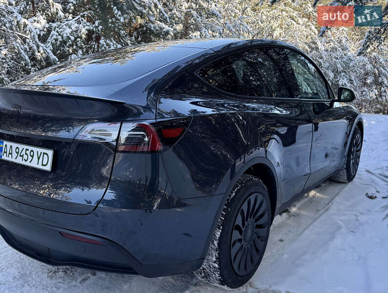 Внедорожник / Кроссовер Tesla Model Y 2024 в Броварах