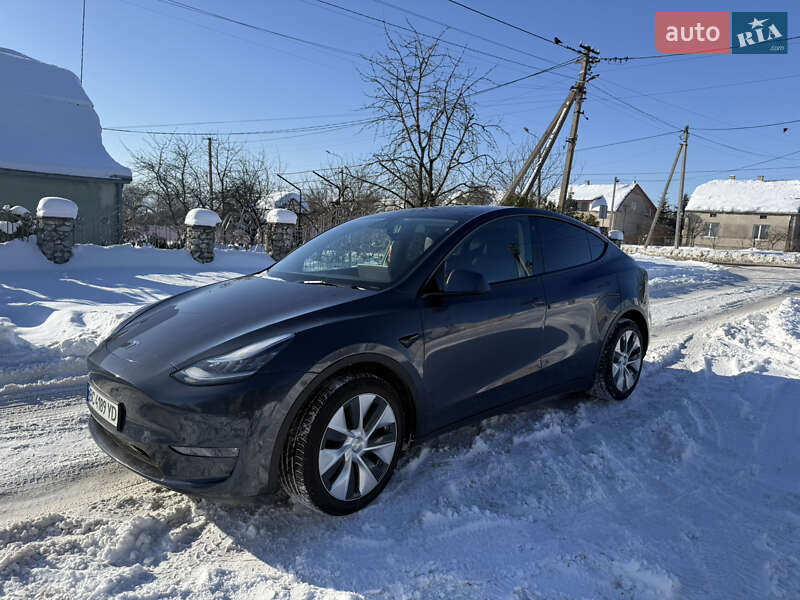 Позашляховик / Кросовер Tesla Model Y 2021 в Золочеві