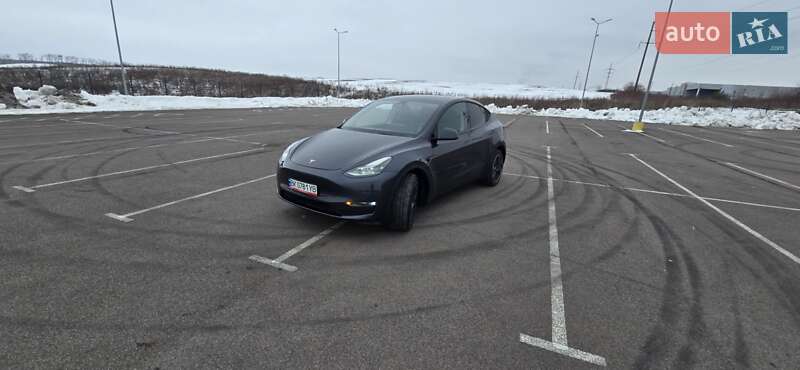 Позашляховик / Кросовер Tesla Model Y 2024 в Рівному