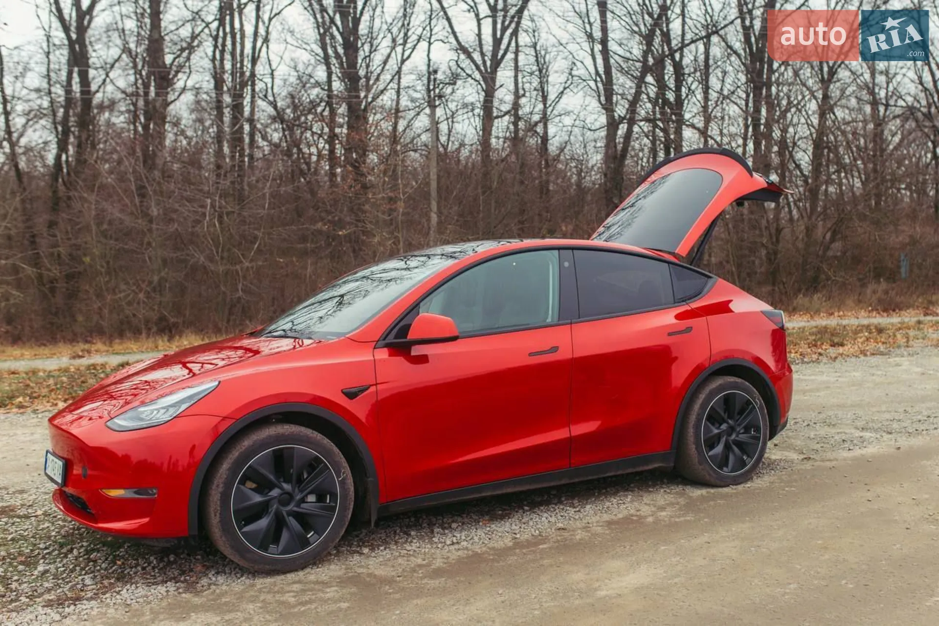 2020 Tesla Model Y - мініатюра 44