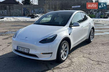 Позашляховик / Кросовер Tesla Model Y 2023 в Рівному
