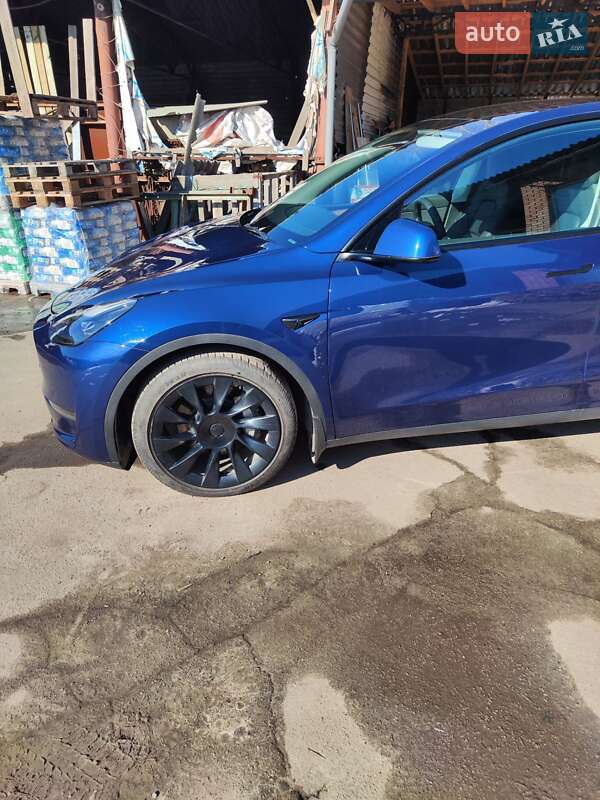 Внедорожник / Кроссовер Tesla Model Y 2022 в Кривом Роге